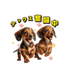 リアル豆柴と犬たちの日常スタンプ（個別スタンプ：37）