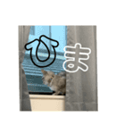 いりこのすたんぷ(ビギナー2)（個別スタンプ：10）