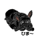 メモ機能手描きイラスト 犬（個別スタンプ：5）