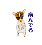 メモ機能手描きイラスト 犬（個別スタンプ：6）