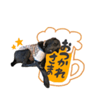 スラッシュ＆ブラン（個別スタンプ：3）