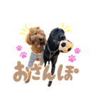 スラッシュ＆ブラン（個別スタンプ：5）