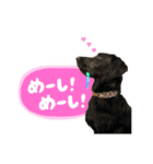 スラッシュ＆ブラン（個別スタンプ：8）
