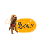 スラッシュ＆ブラン（個別スタンプ：12）