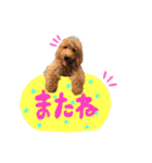 スラッシュ＆ブラン（個別スタンプ：15）