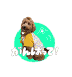 スラッシュ＆ブラン（個別スタンプ：21）