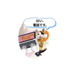 にゃ～んSticker(桜月)（個別スタンプ：10）