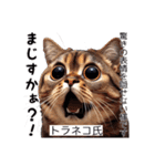 様々な猫ネコの様々な表情をスタンプ化！（個別スタンプ：28）