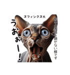 様々な猫ネコの様々な表情をスタンプ化！（個別スタンプ：29）