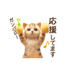 動く♡フェルト猫の家族連絡(茶トラ)（個別スタンプ：21）