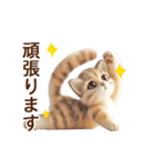 動く♡フェルト猫の家族連絡(茶トラ)（個別スタンプ：22）