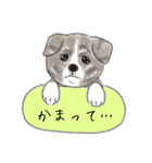 秋田犬、まめ五郎♪イラストバージョン（個別スタンプ：8）