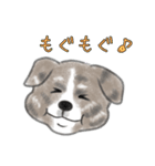 秋田犬、まめ五郎♪イラストバージョン（個別スタンプ：9）