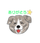 秋田犬、まめ五郎♪イラストバージョン（個別スタンプ：16）