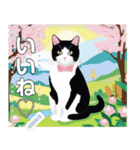 【ネコ】縁がわのハチワレ猫（文字変自由）（個別スタンプ：4）