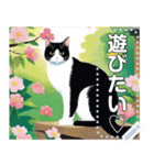 【ネコ】縁がわのハチワレ猫（文字変自由）（個別スタンプ：10）