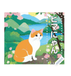 【ネコ】縁がわのハチワレ猫（文字変自由）（個別スタンプ：17）