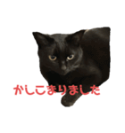 ぐーさまだけじゃない2（個別スタンプ：1）