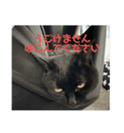 ぐーさまだけじゃない2（個別スタンプ：2）