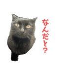 ぐーさまだけじゃない2（個別スタンプ：3）