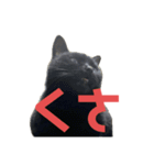 ぐーさまだけじゃない2（個別スタンプ：5）