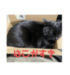 ぐーさまだけじゃない2（個別スタンプ：6）