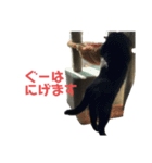ぐーさまだけじゃない2（個別スタンプ：9）