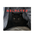 ぐーさまだけじゃない2（個別スタンプ：11）