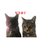 ぐーさまだけじゃない2（個別スタンプ：19）