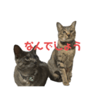 ぐーさまだけじゃない2（個別スタンプ：20）