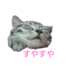 みかんオリジナル（個別スタンプ：4）