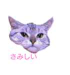 みかんオリジナル（個別スタンプ：7）
