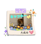 あいさつ総集編（個別スタンプ：8）