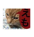 猫。ねこ。ネコ。（個別スタンプ：4）