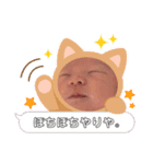 毎日シユたん①（個別スタンプ：2）