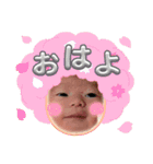 毎日シユたん①（個別スタンプ：5）