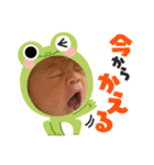 毎日シユたん①（個別スタンプ：15）
