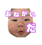 我が家のいぶきくんスタンプ（個別スタンプ：13）