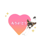 ブチコちゃんとキチオくんのスタンプ（個別スタンプ：2）