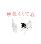 ブチコちゃんとキチオくんのスタンプ（個別スタンプ：8）