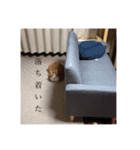 ホタルのスタンプ3rd（個別スタンプ：13）