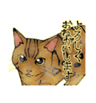 オリジナルイラスト猫 日常会話 あいさつ（個別スタンプ：5）