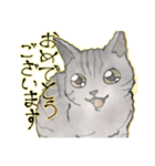 オリジナルイラスト猫 日常会話 あいさつ（個別スタンプ：9）