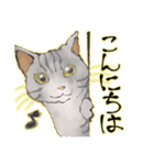 オリジナルイラスト猫 日常会話 あいさつ（個別スタンプ：10）