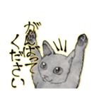 オリジナルイラスト猫 日常会話 あいさつ（個別スタンプ：12）