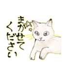 オリジナルイラスト猫 日常会話 あいさつ（個別スタンプ：14）