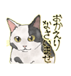 オリジナルイラスト猫 日常会話 あいさつ（個別スタンプ：15）