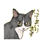 オリジナルイラスト猫 日常会話 あいさつ（個別スタンプ：16）