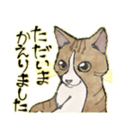 オリジナルイラスト猫 日常会話 あいさつ（個別スタンプ：17）