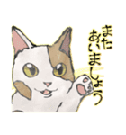 オリジナルイラスト猫 日常会話 あいさつ（個別スタンプ：18）